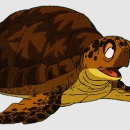 TORTUGA DEL MAR DRAGON BALL