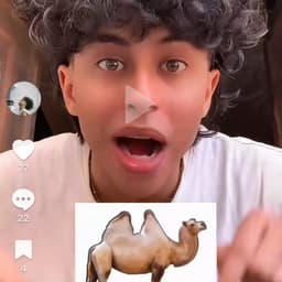 مربان مربان ط*