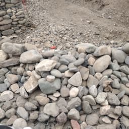 عيدروس الزبيدي 