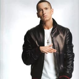 Eminem (2013 era)