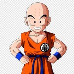 Krillin