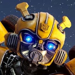 Bumblebee Latino 