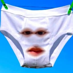 ミスターブリーフ