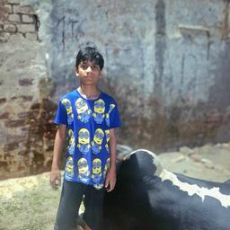 Hammad9