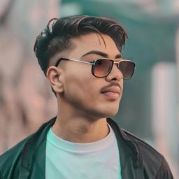 Vipin 2.0