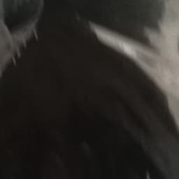 Alejandro badillo Ramón 