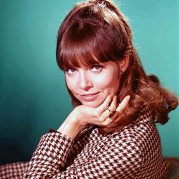 Agent 99 From Get Smart