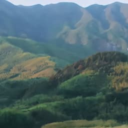 12.30 张雪峰800遍