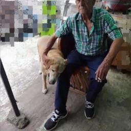Eulalio 