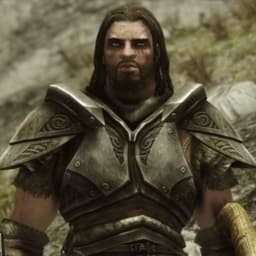Farkas V2 — Skyrim