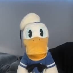 Donald Duck On Duet (DonaldDucc)