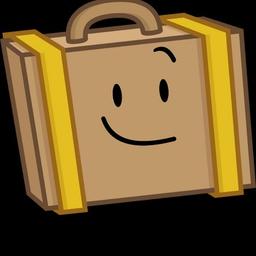 Suitcase 
