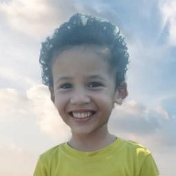 الشعراوي 