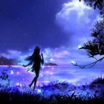 茶文化12.13-12.15