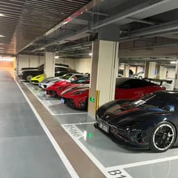 大苗姐姐~~仗义屠狗辈 伤感