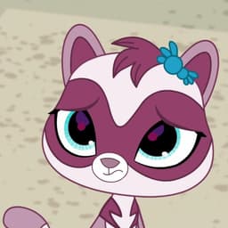 Jebbie The Korea Ferret.