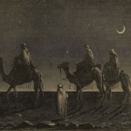 حيدر العلوي