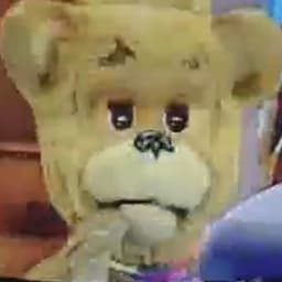 Мишутка (snm2011)