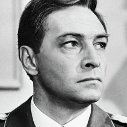 Штирлиц-досье