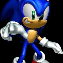 Sonic The Hedgehog (Sonic Heroes)