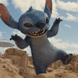 Stitch