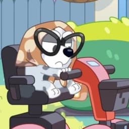 Muffin heeler - granny mobile