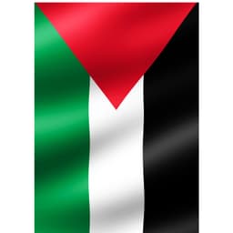 أم فلسطينية 