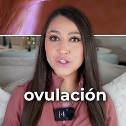 0530pauzunigaoficial西语女 ZMT