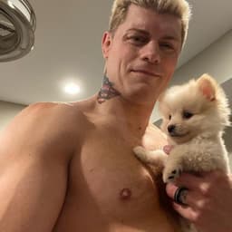 Cody Rhodes 