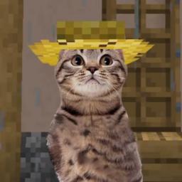 villager