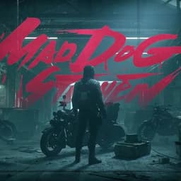 暗区疯狗帮马丁