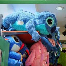 قالو الشعر عن ليلى