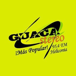 GUACA STEREO HELICONIA