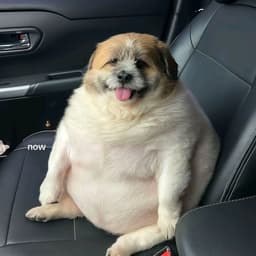 Isagi yoichi [megar] 