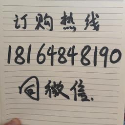 4.24大棚王的男声