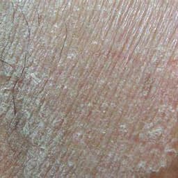 兴奋激动男带货