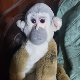 Mono de la venganza del pato