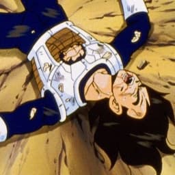Vegeta (Hurt voice)