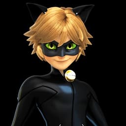 CAT noir de miraculoso 