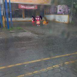 TCM LA LOCUTOR INGLES