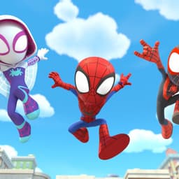 Spidey and his amazing friends 