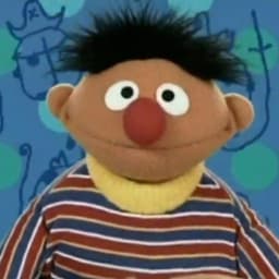 Ernie (Play With Me Sesame)