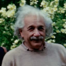 Albert Einstein