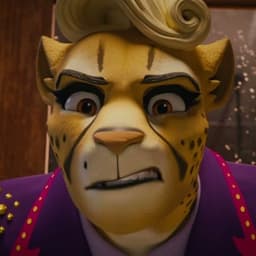 Dotti Pace (A Sloth Story)