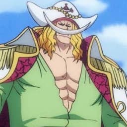 Whitebeard Second english voice 