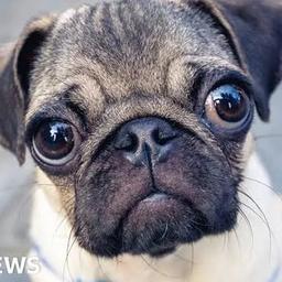 Chris Young ( Aiden)