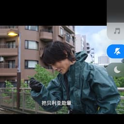 赛雷布洛（讨勋章）