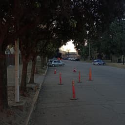 Copia de voz bertorelo