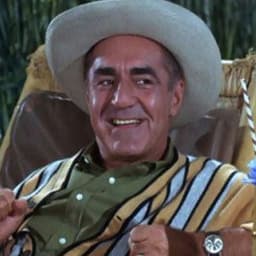 Mr Howell From Gilligan's Island