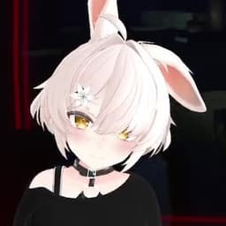 Puck (VRCHAT)